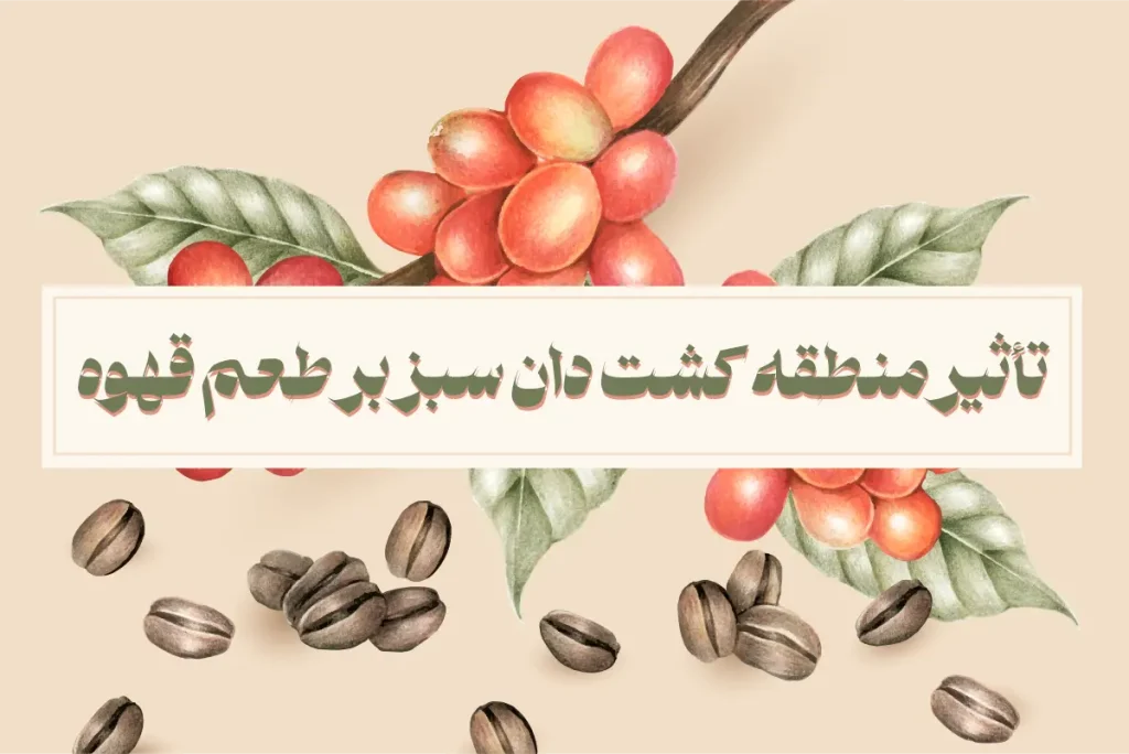 منطقه کشت دان سبز قهوه