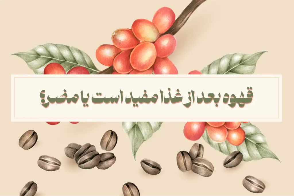 قهوه بعد از غذا مفید است یا مضر؟