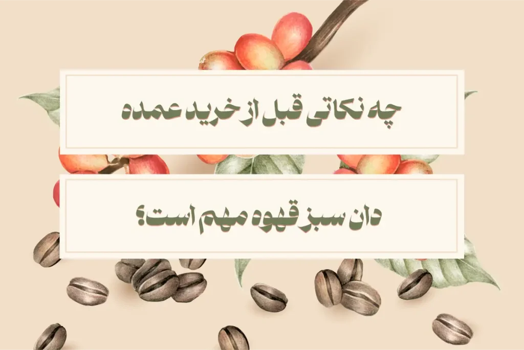 خرید عمده دان سبز قهوه