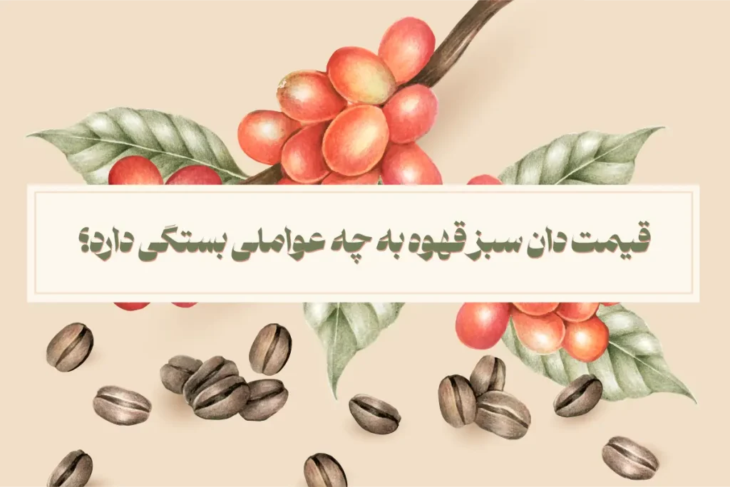 قیمت دان سبز قهوه