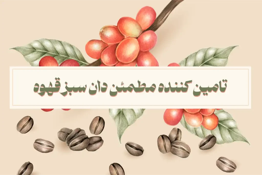 تامین کننده مطمئن دان سبز قهوه